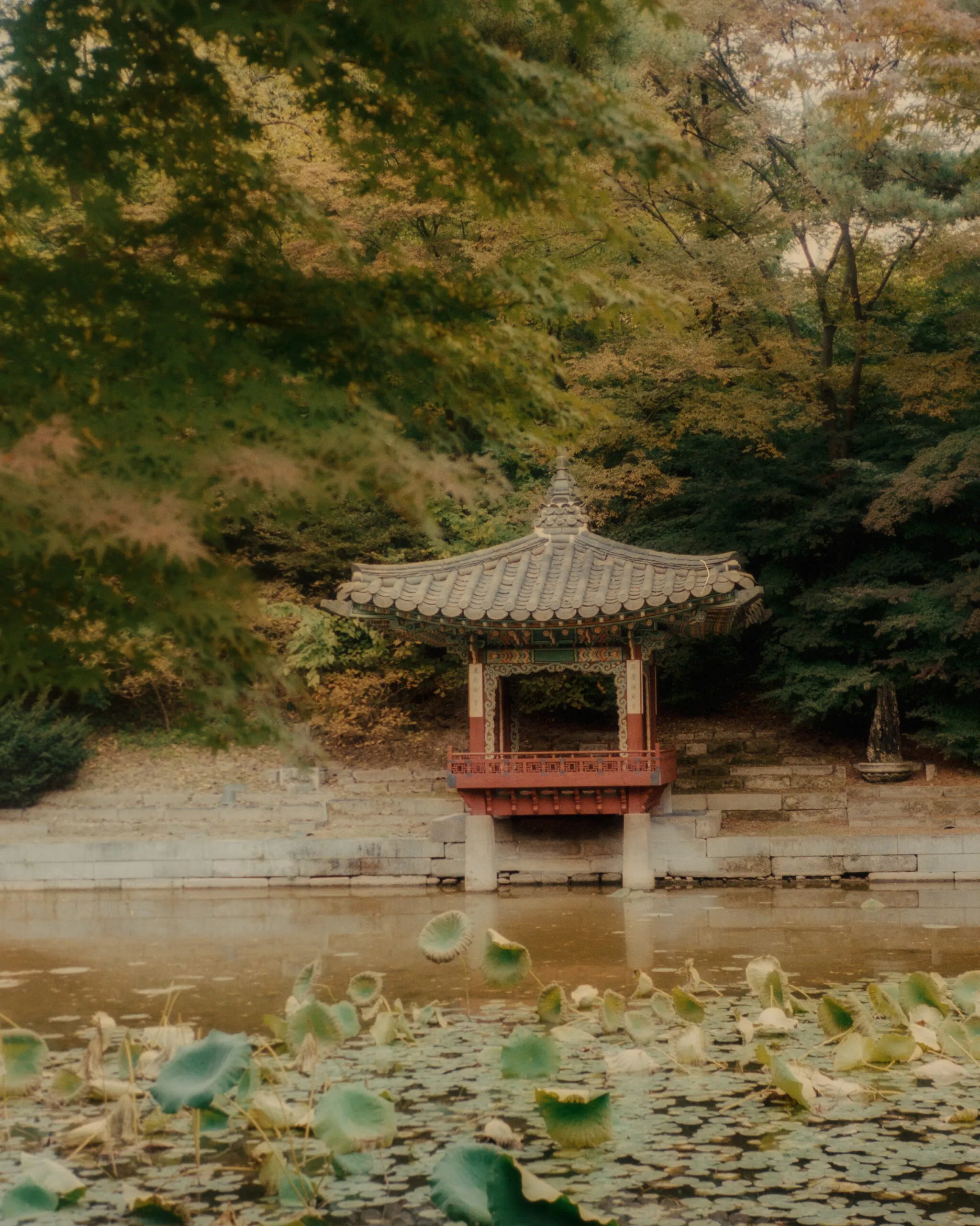 Changdeokgung Secret Garden