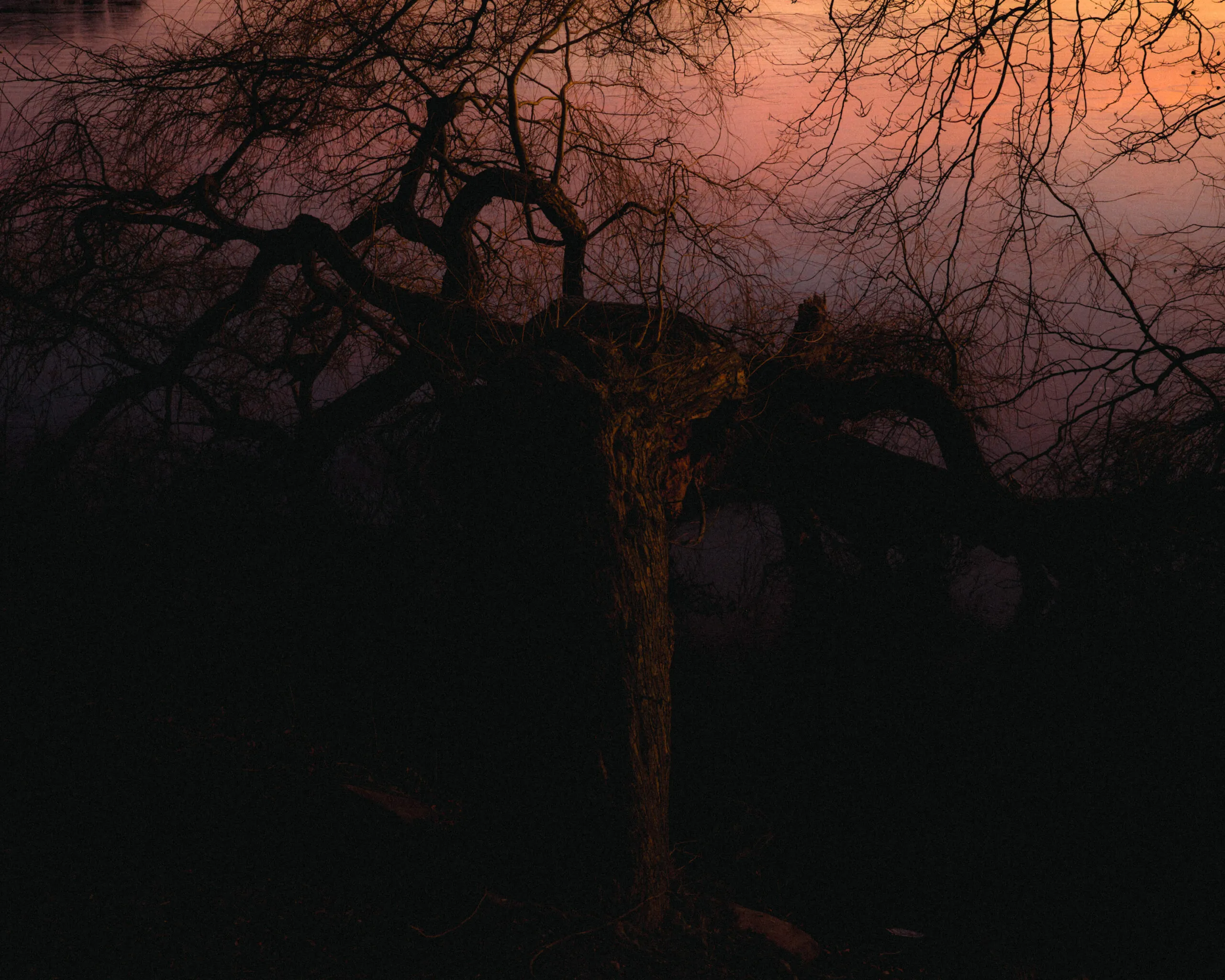 Sunset time at Sophienholm in Bagsværd, Denmark by Filip Gielda-39