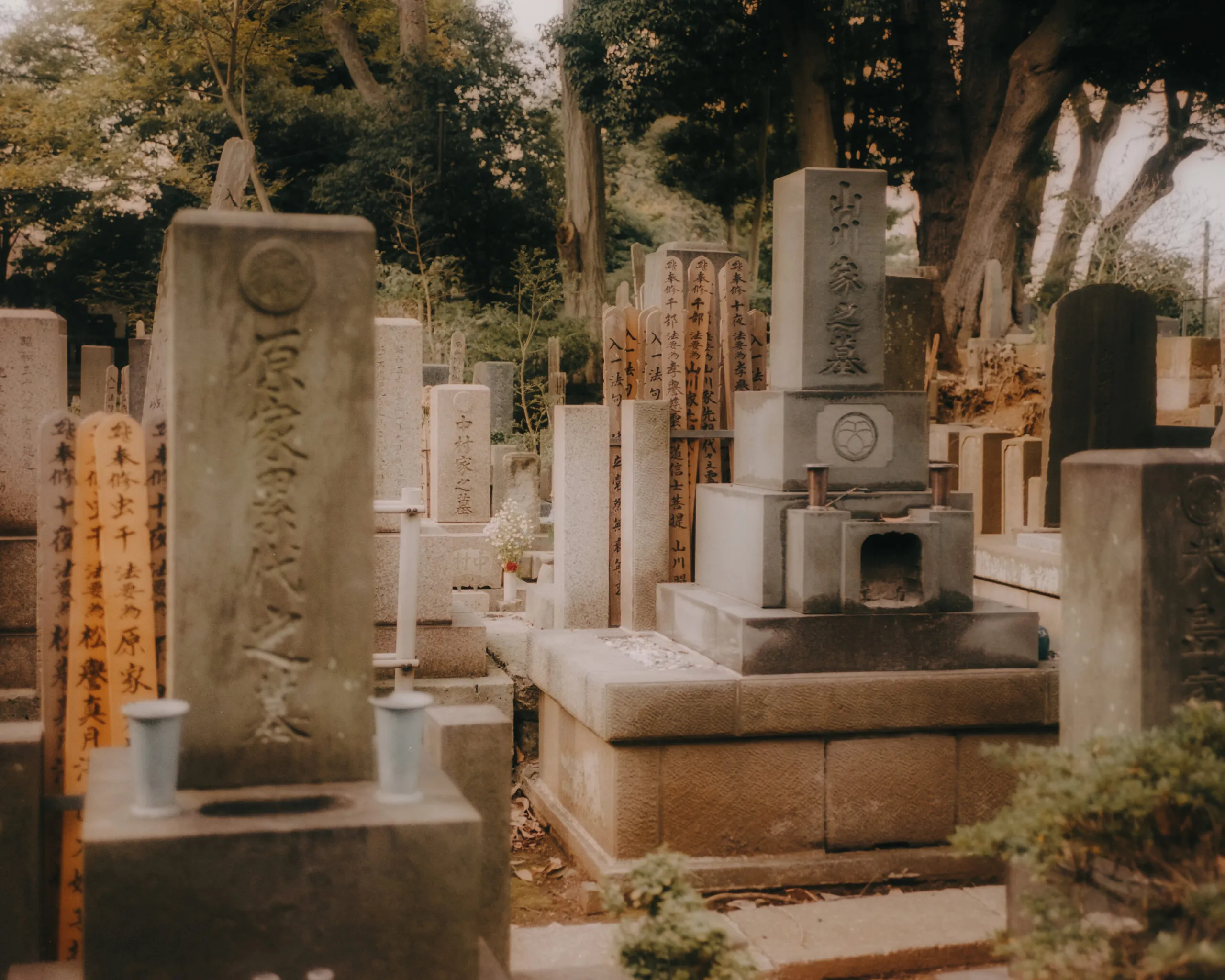 Tokyo on film